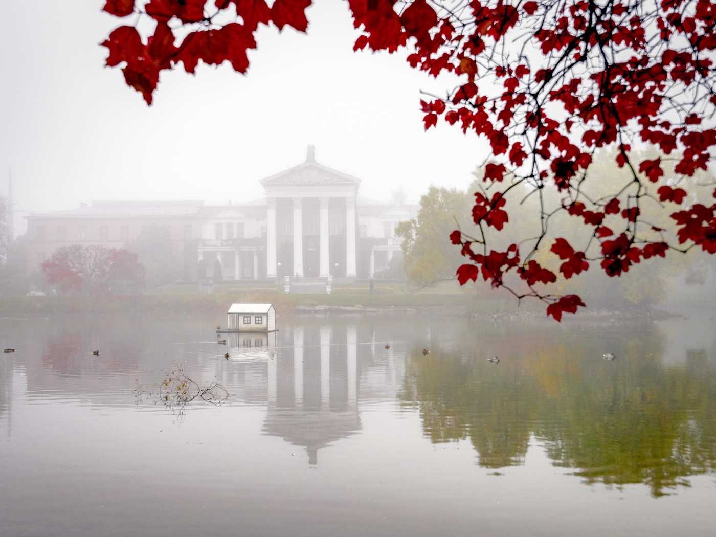 Туманный этюд