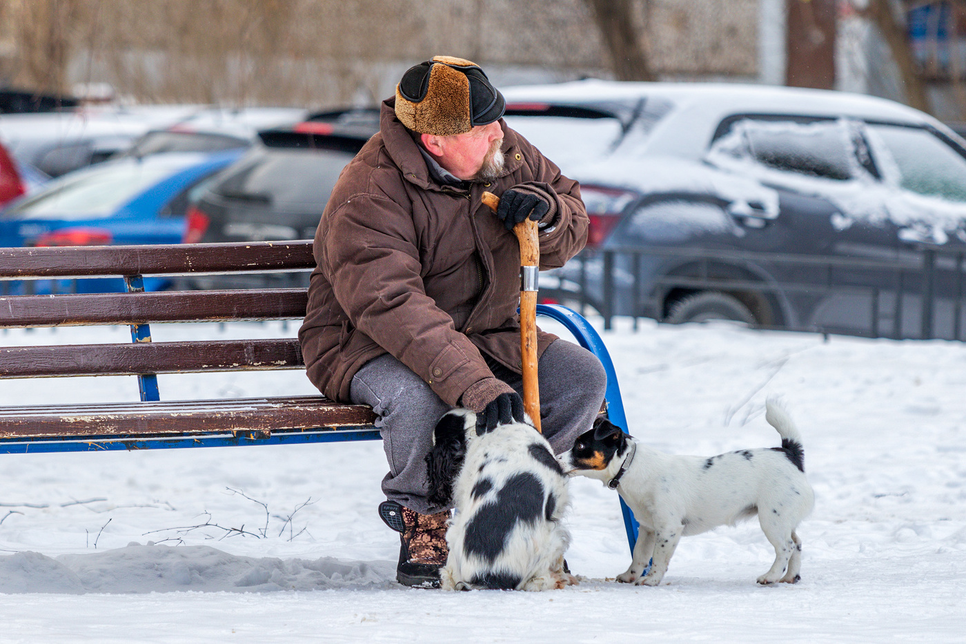 Не бойся, я с тобой!