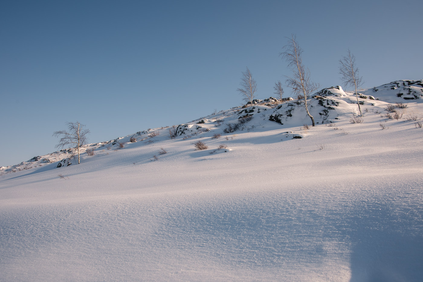 Выпал свежий снег...