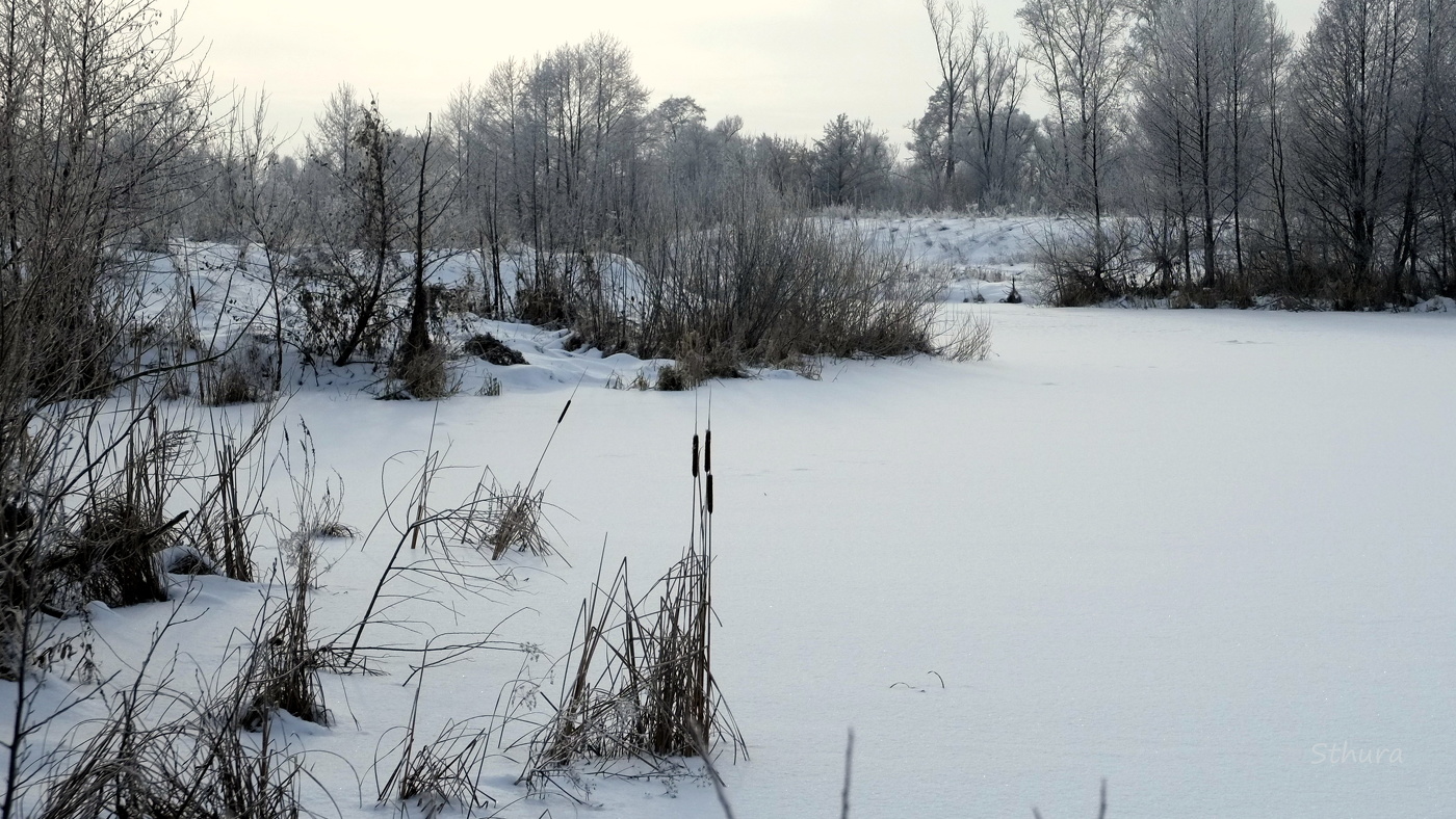 Зима на Рожке.