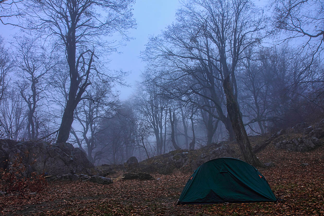 Утро туманное