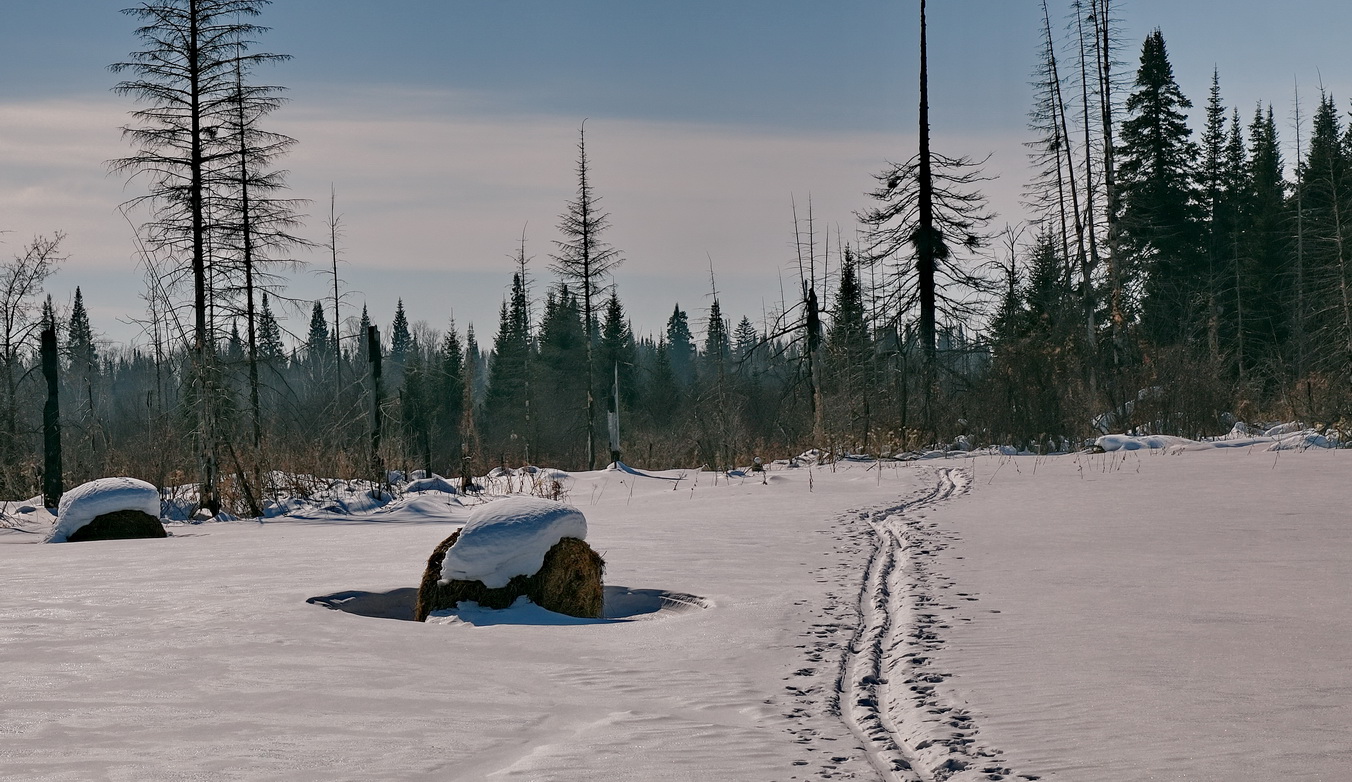 **На исходе зимы.*