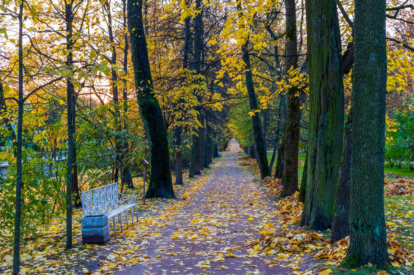 Осеннее утро в Екатерининском парке.