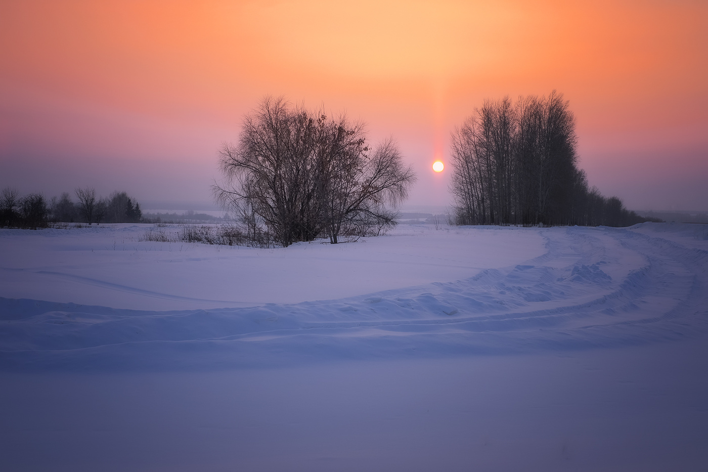 Полевая дорога...