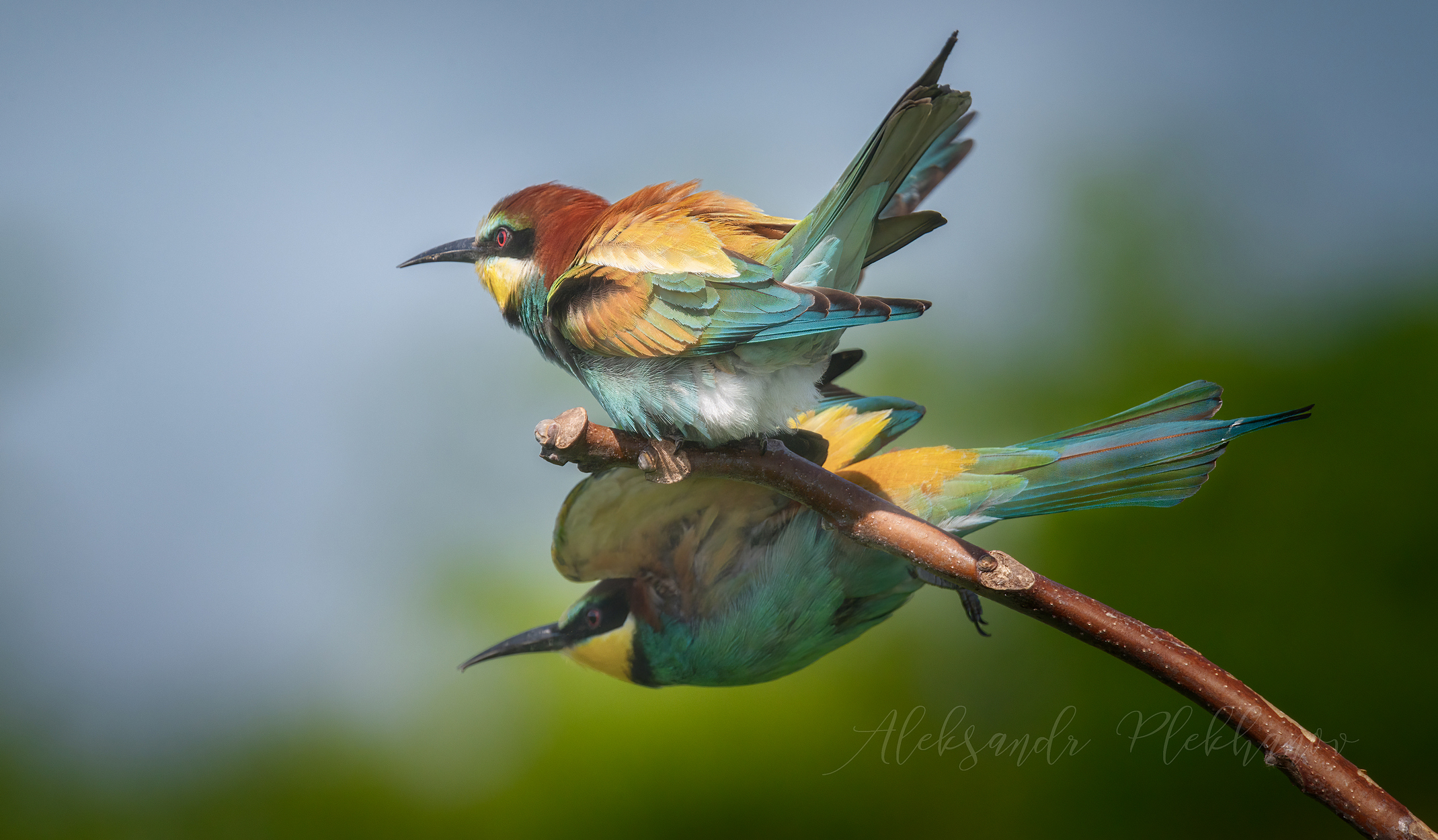 Про Отражения