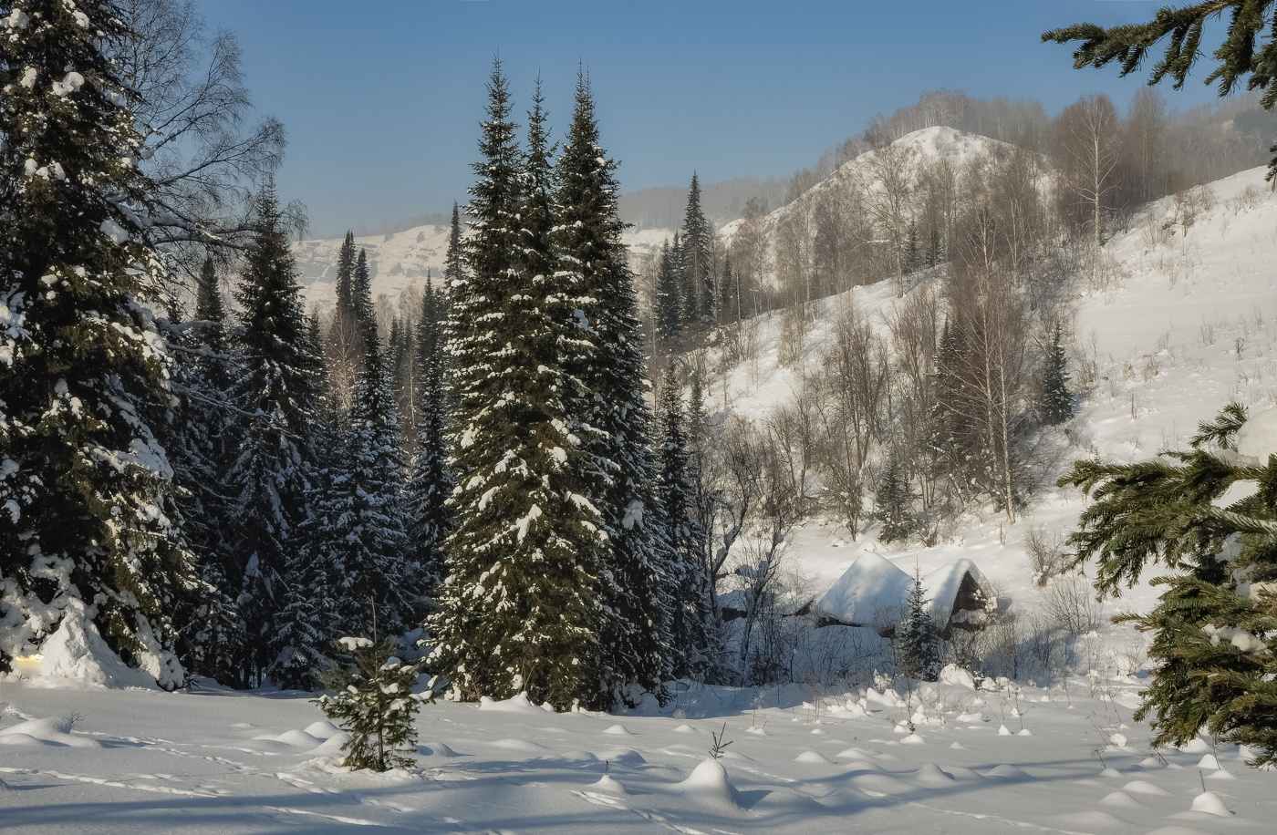 Домик в лесу зимой