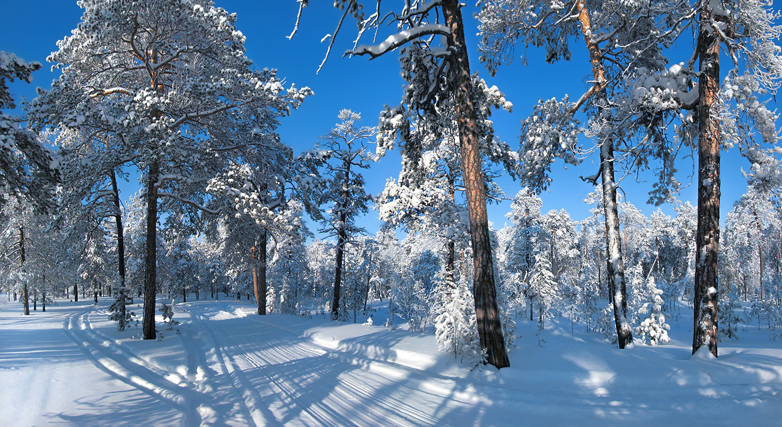 белоснежный февраль уезжает... и увозит красоты зимы...)