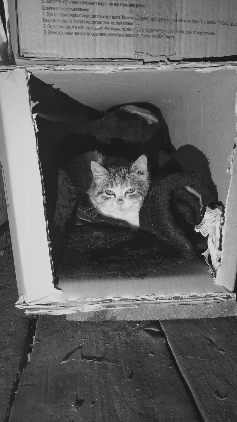 Жизнь вокруг