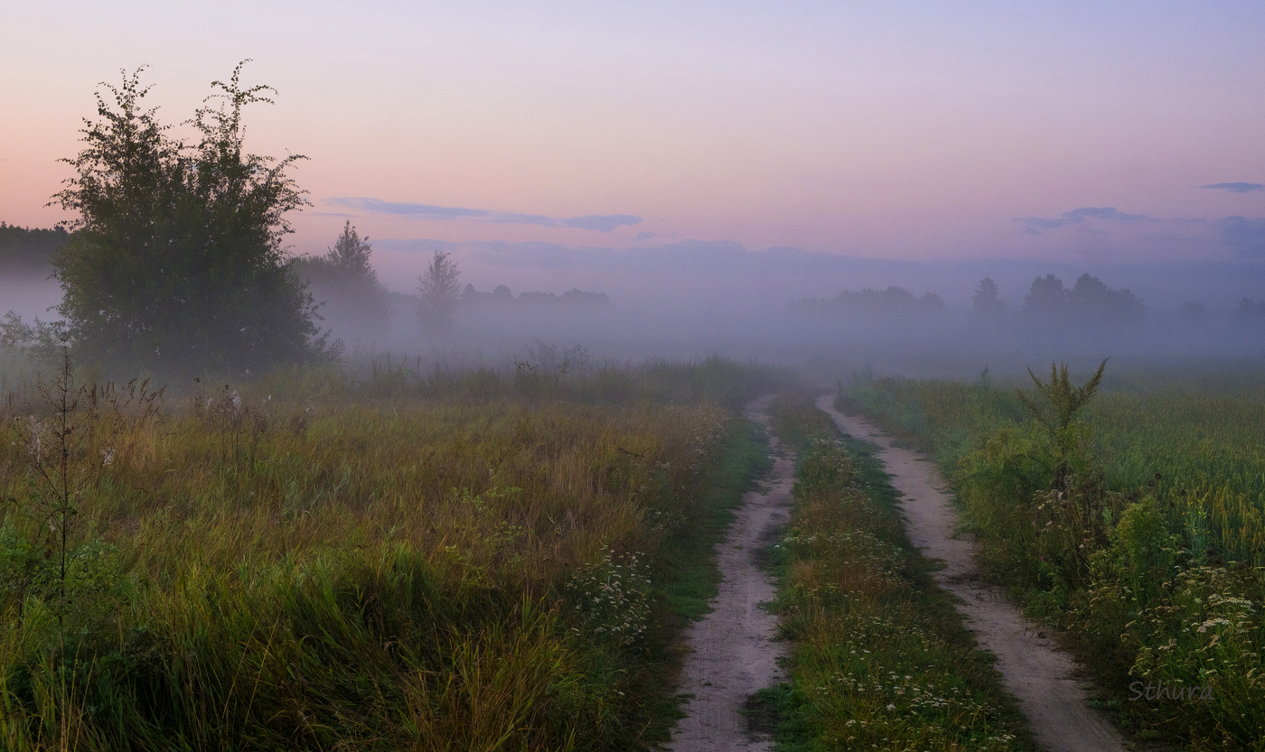 Дорога ведёт в туман.