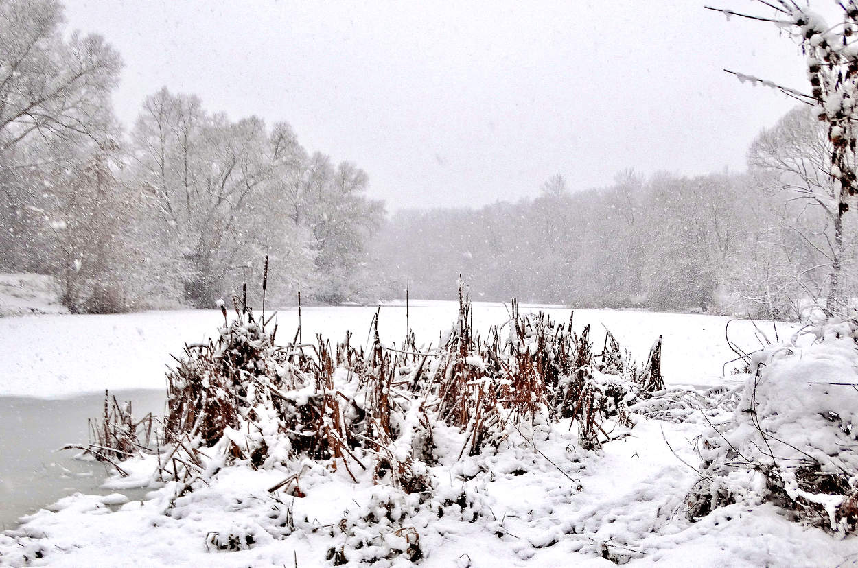 ПоследниЙ зимний снегопад