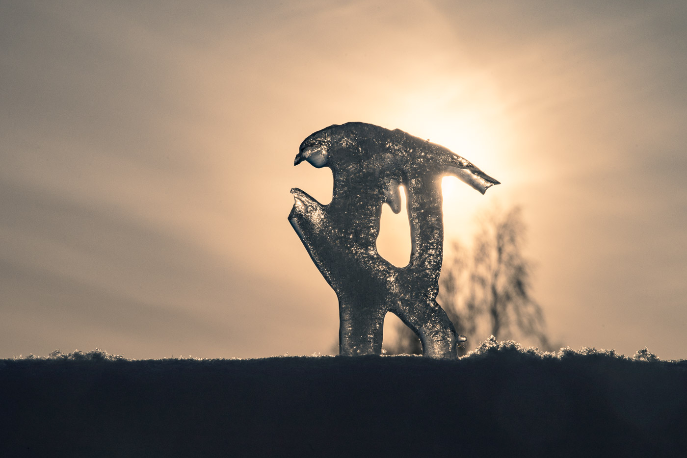 Ворона и лисица