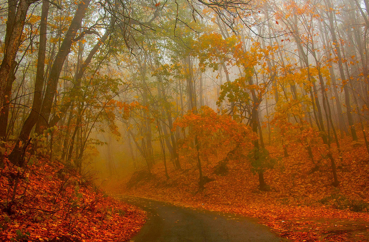 Краски осени
