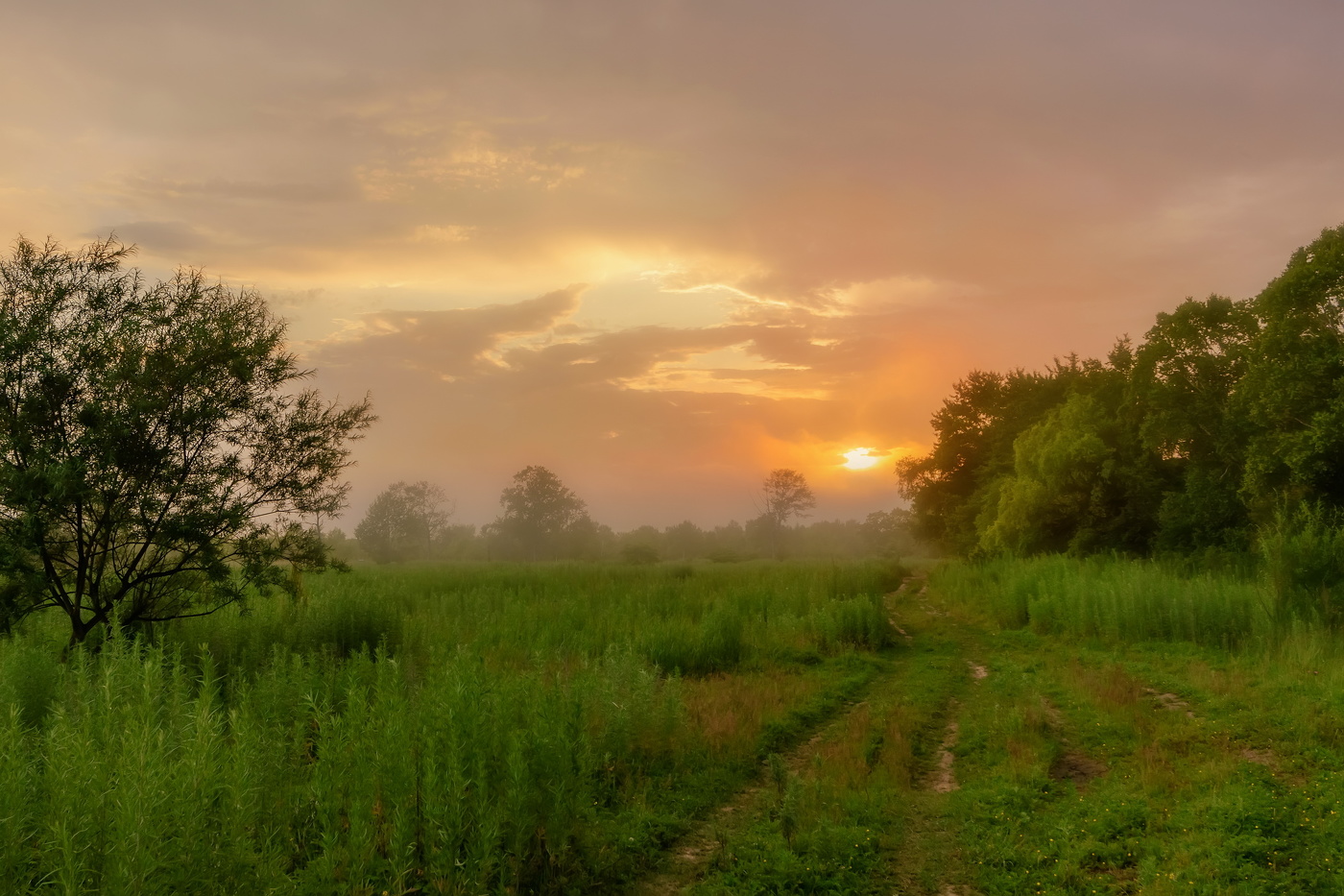 Туманный закат