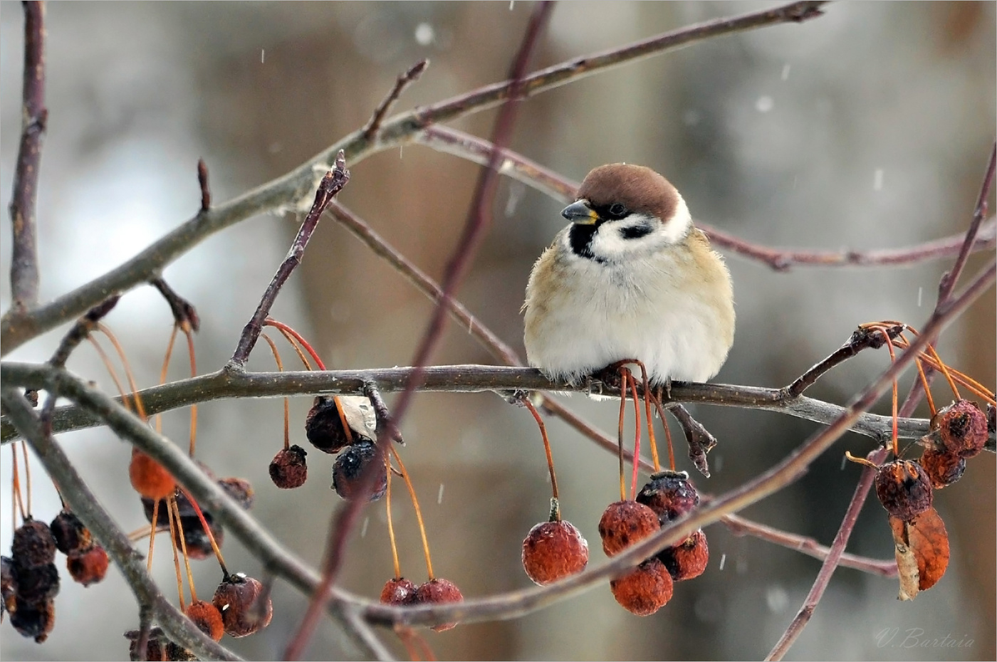 Ты скоро, Весна?!