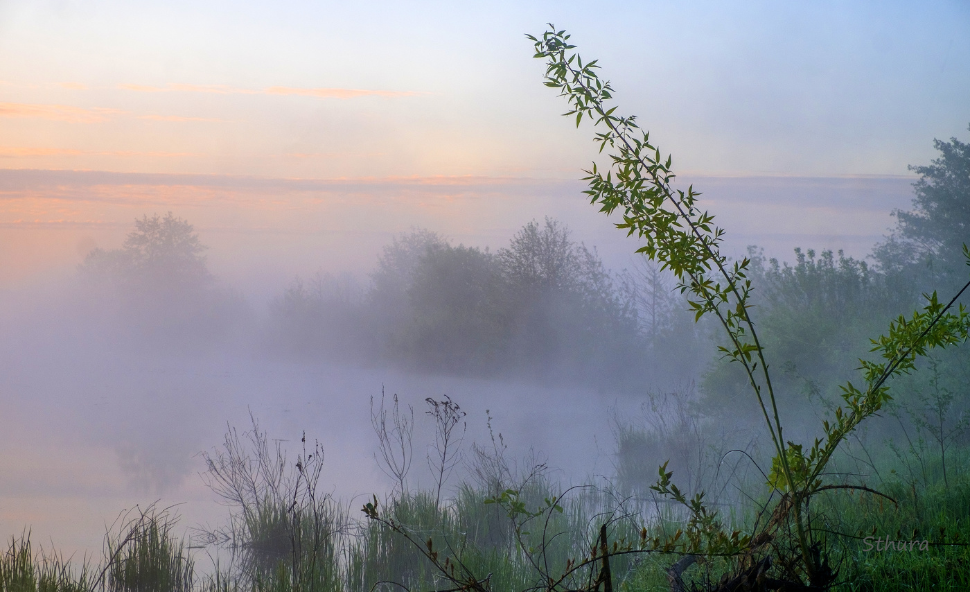 Весенний туман.