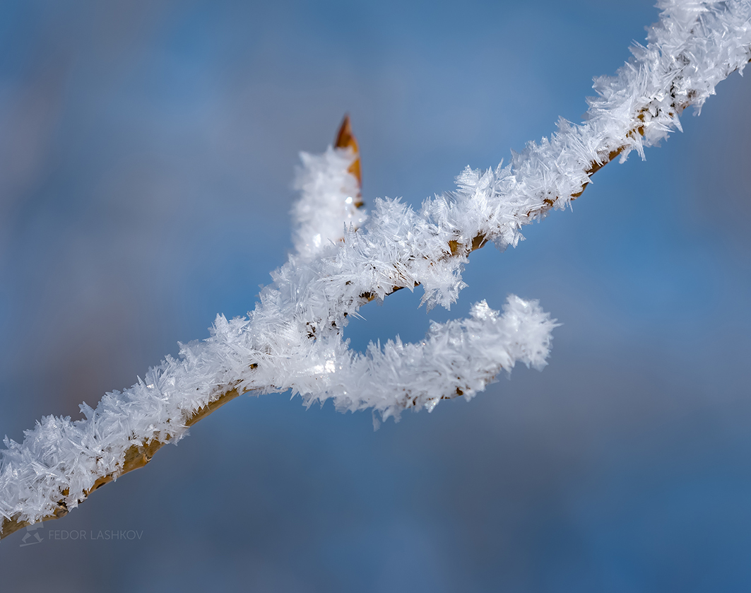 В ожидании весны