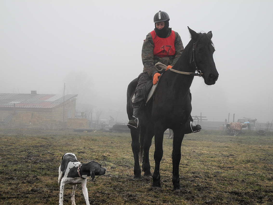 Встреча в тумане