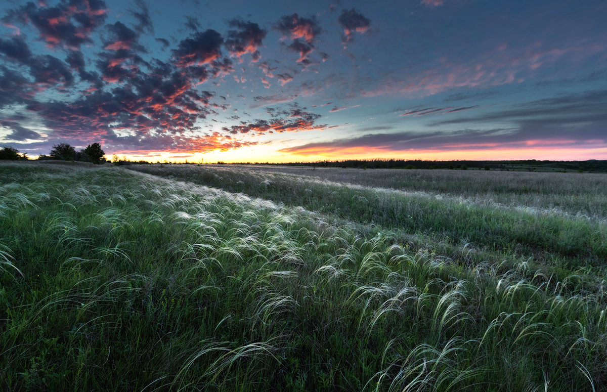 Майским вечером