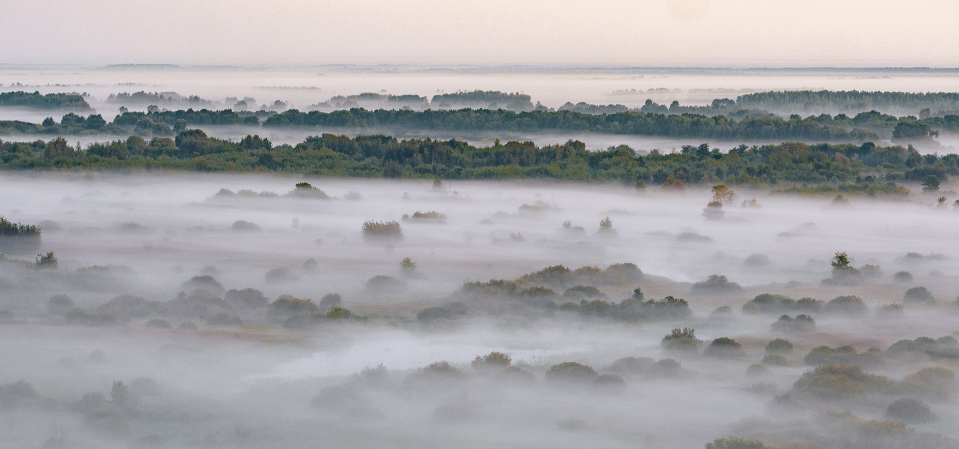 Мрое тумана