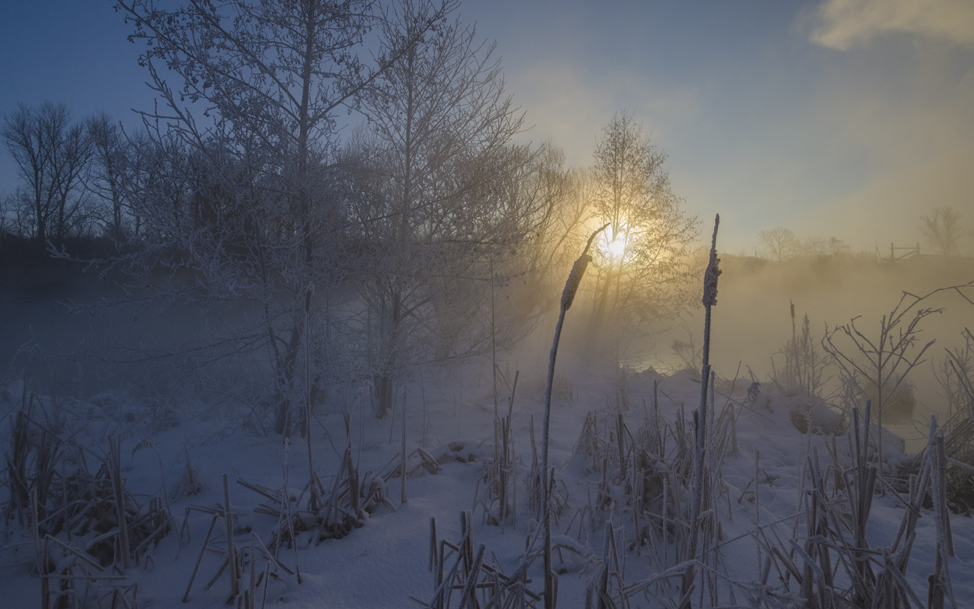 Рассвет в глухозимье