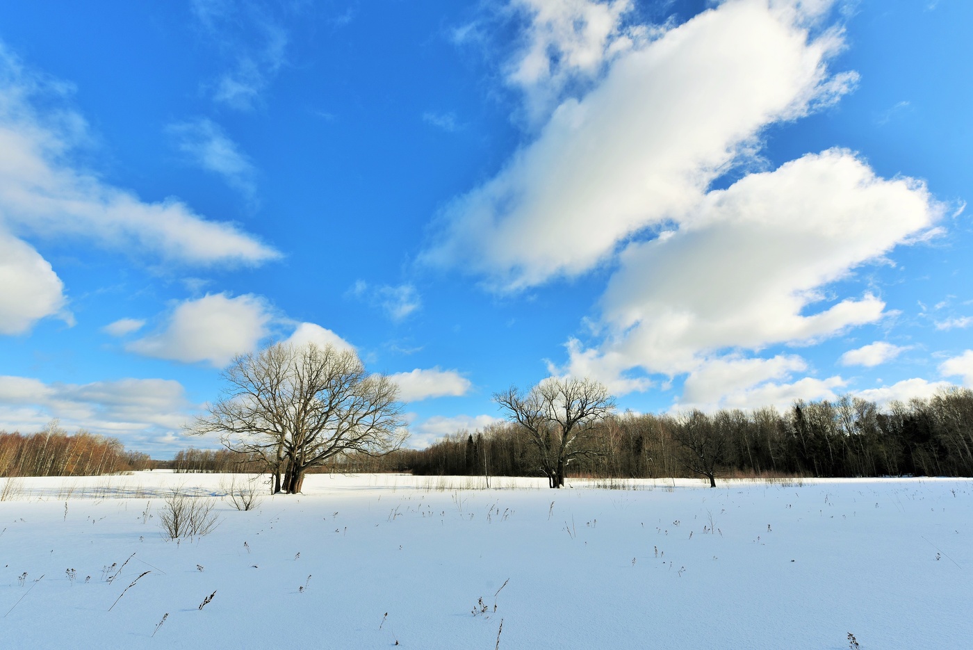 "Бесформенно текучи в марте облака ..."