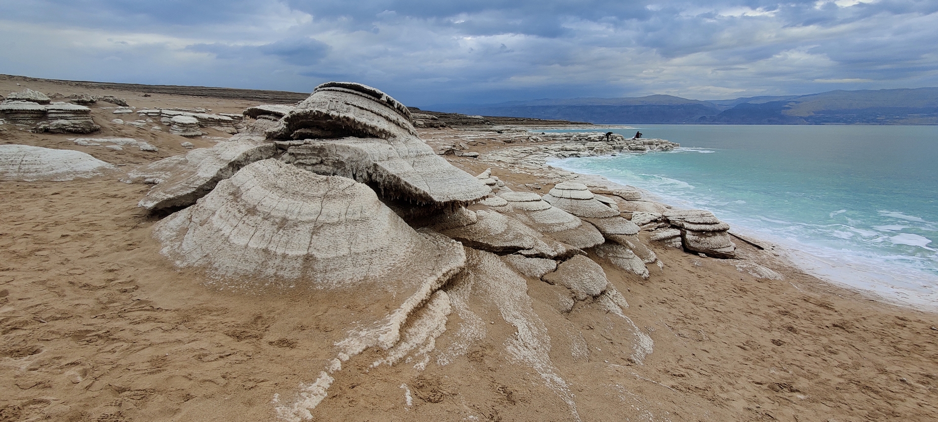 Солевые грибы Мертвого моря