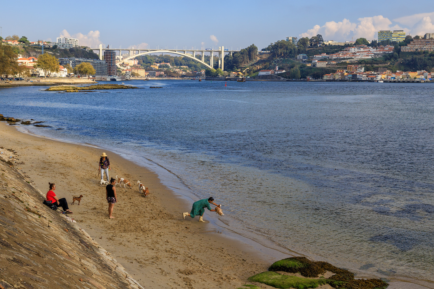 Зачем бросать собаку в воду?