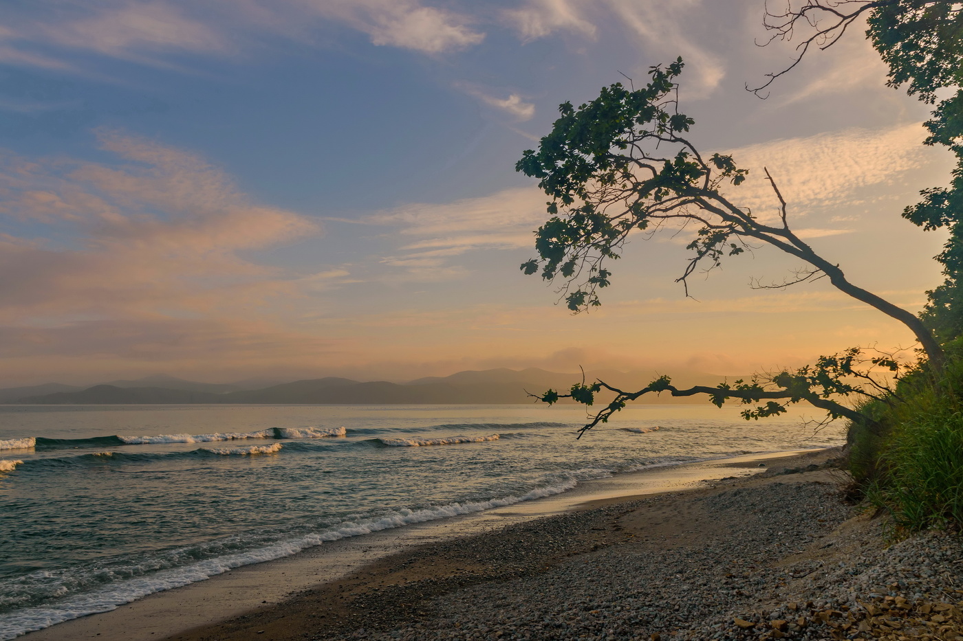 Туманный вечер