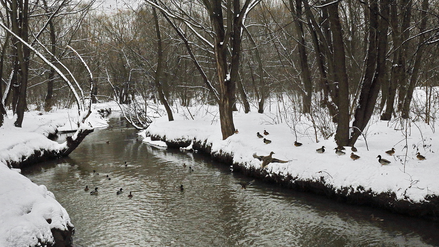 Иду на посадку