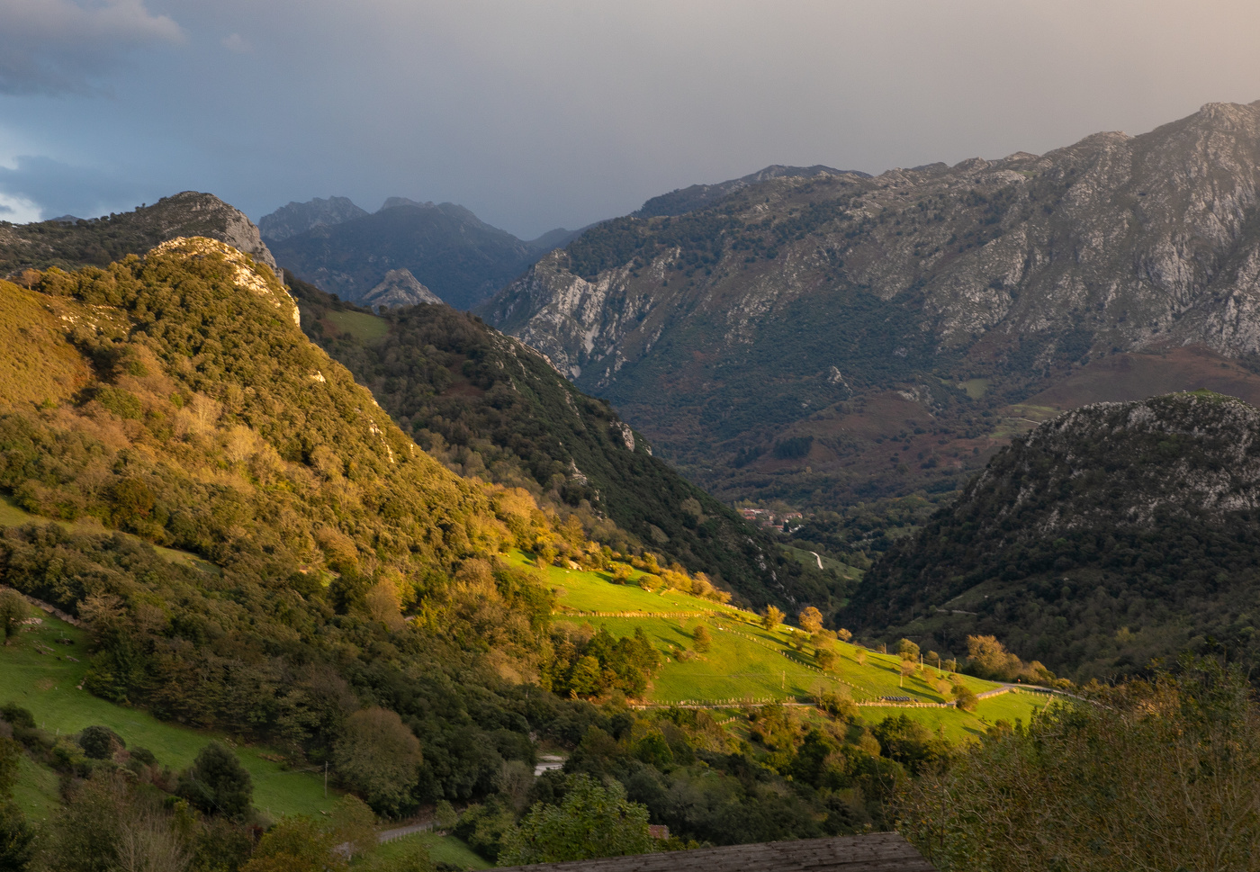 Вечерний свет