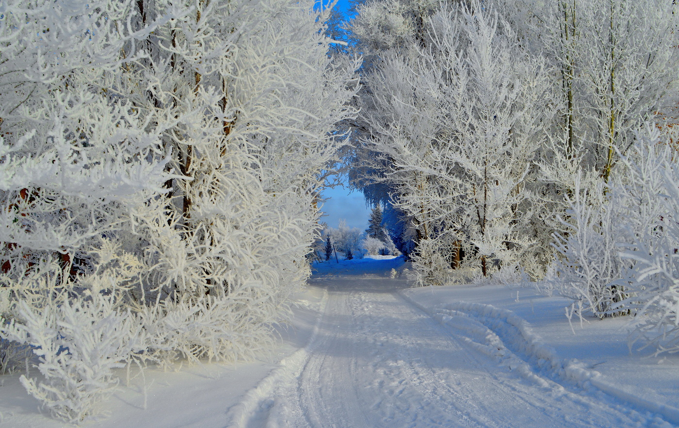 морозное утро
