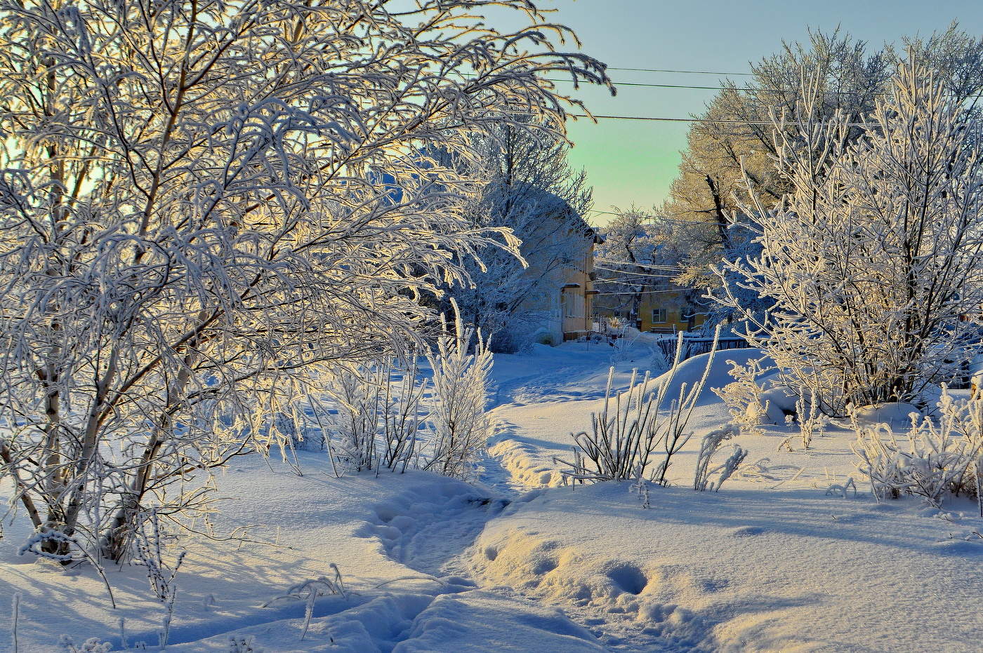 солнечное утро