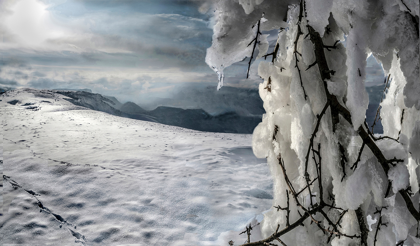 Природа высокогорья