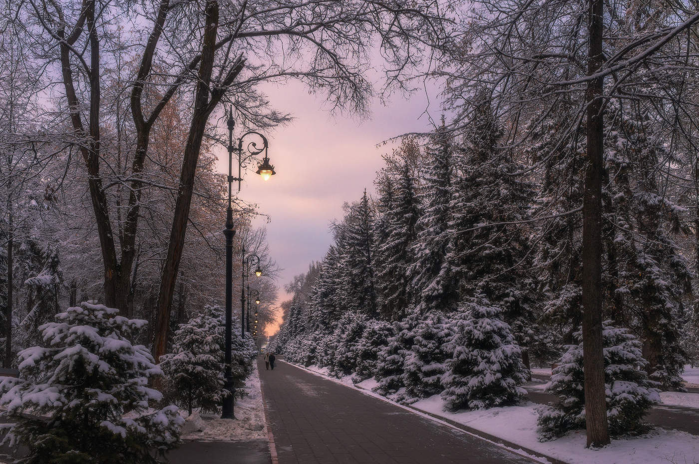 Смеркалось...