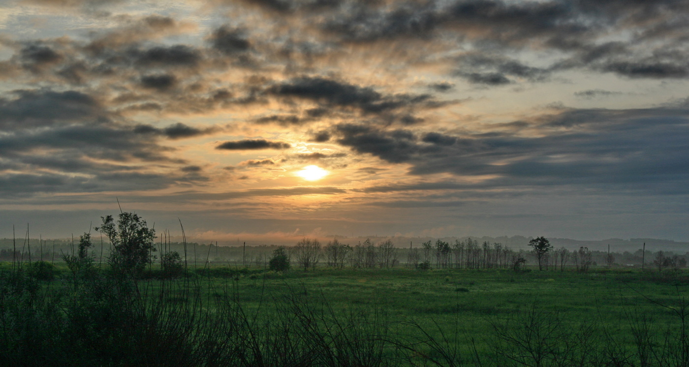 Утро в поле