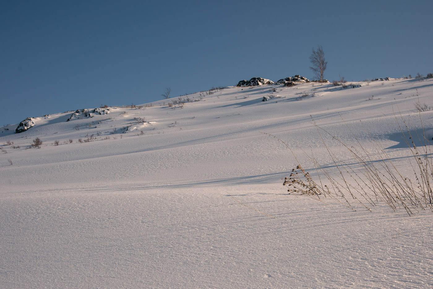 Снежное покрывало