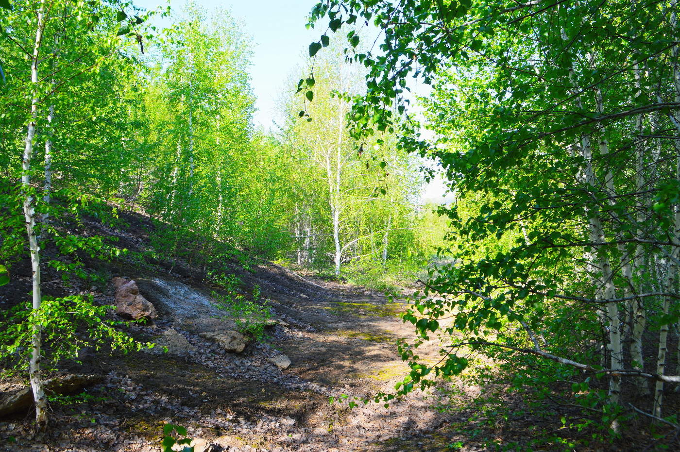 весенний косогор