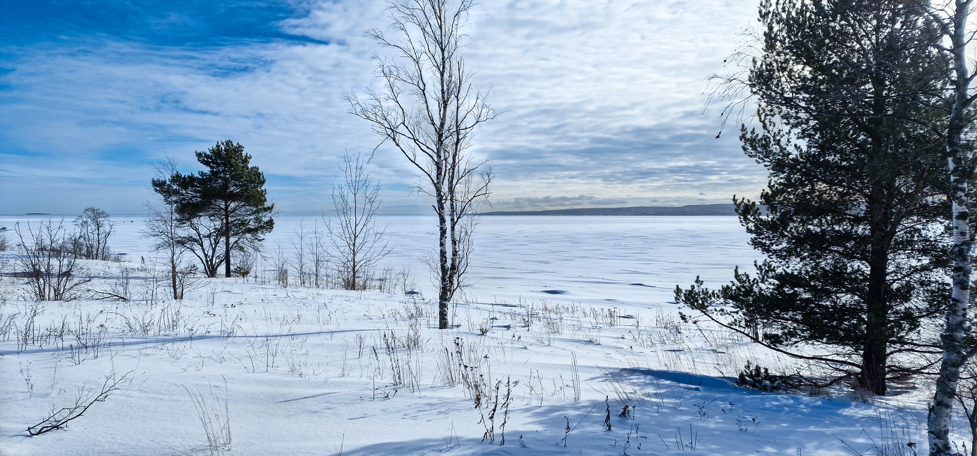 Весна идет...