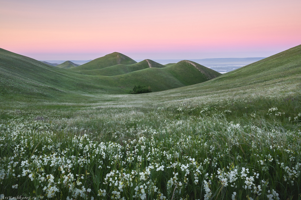 "Цветущие Долгие горы"