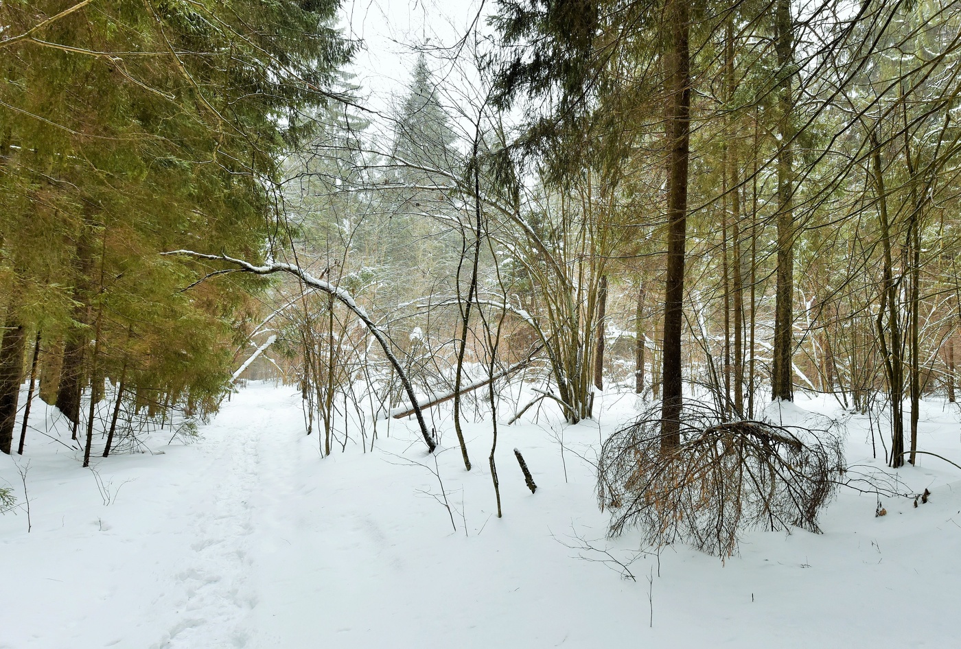 "На дворе уже март, а зима не уходит ..."