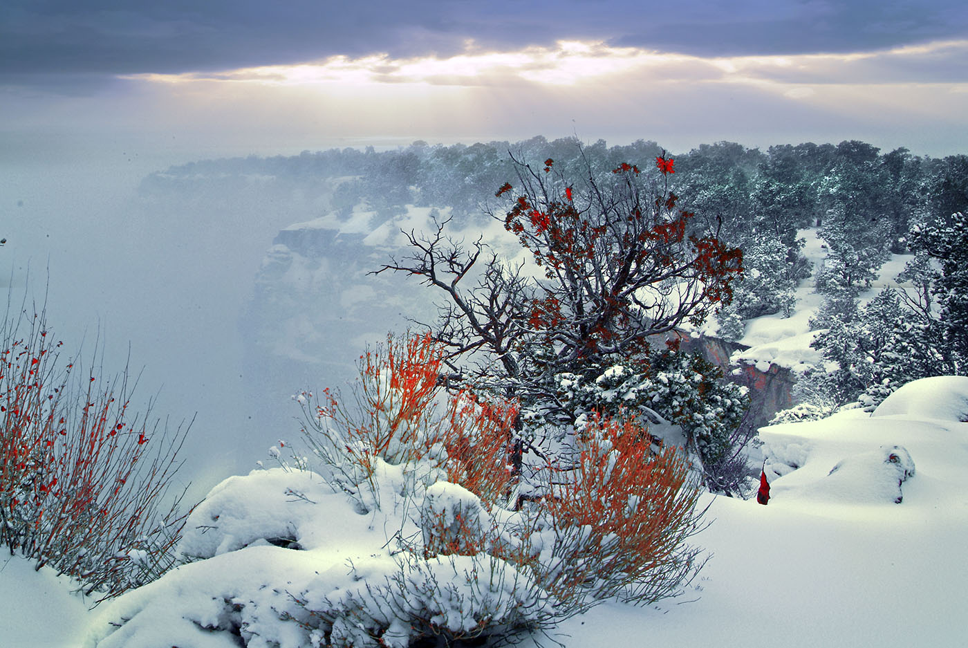 Большой каньон в снегу.