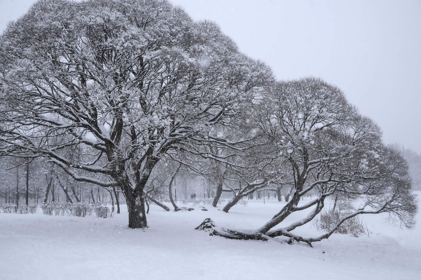 Снежный мартовский день