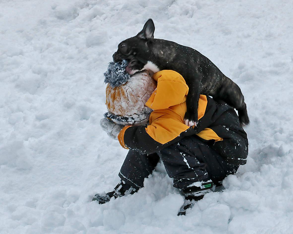 Это моя шапка, отдай!