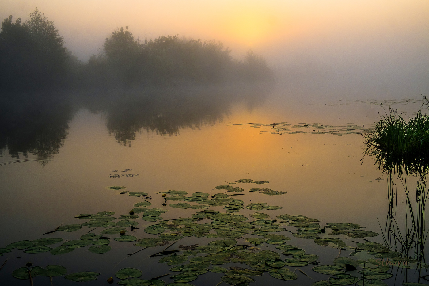 На восходе.