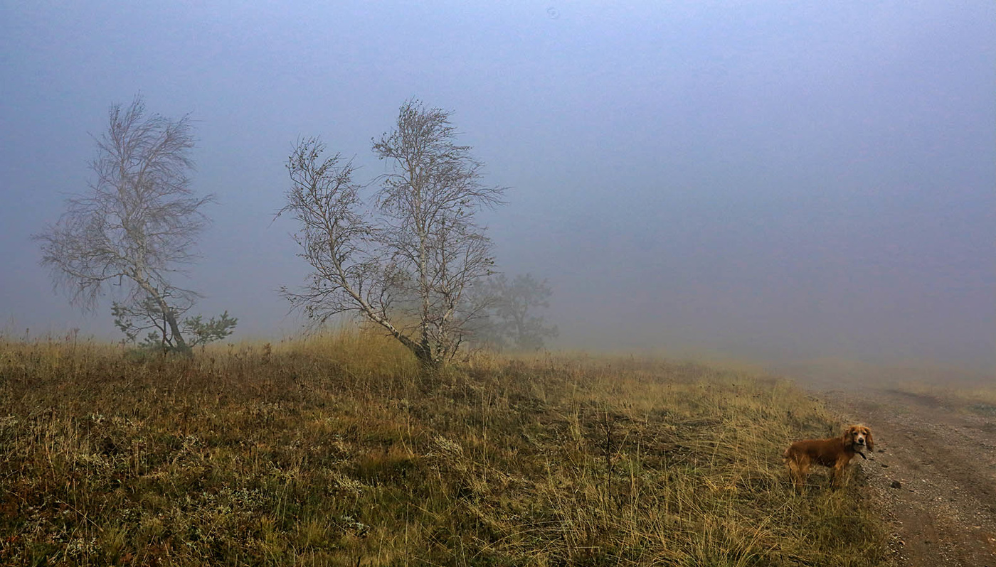 На вершине Южного Демирджи