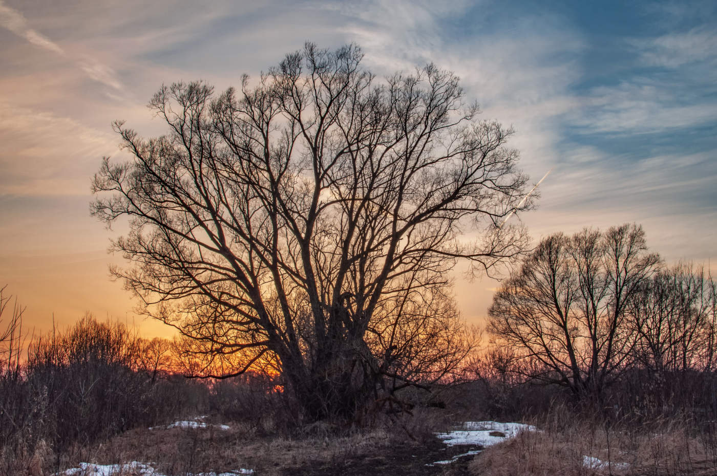 Кружева весеннего заката.
