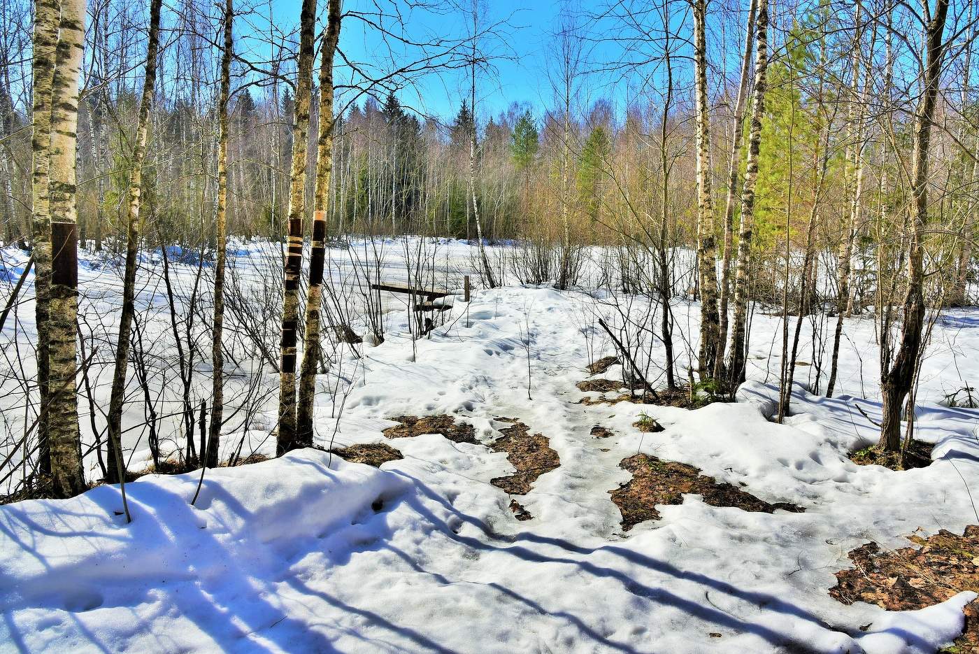 "Непрочность снега непорочна, теплом, как лыжами примят..."