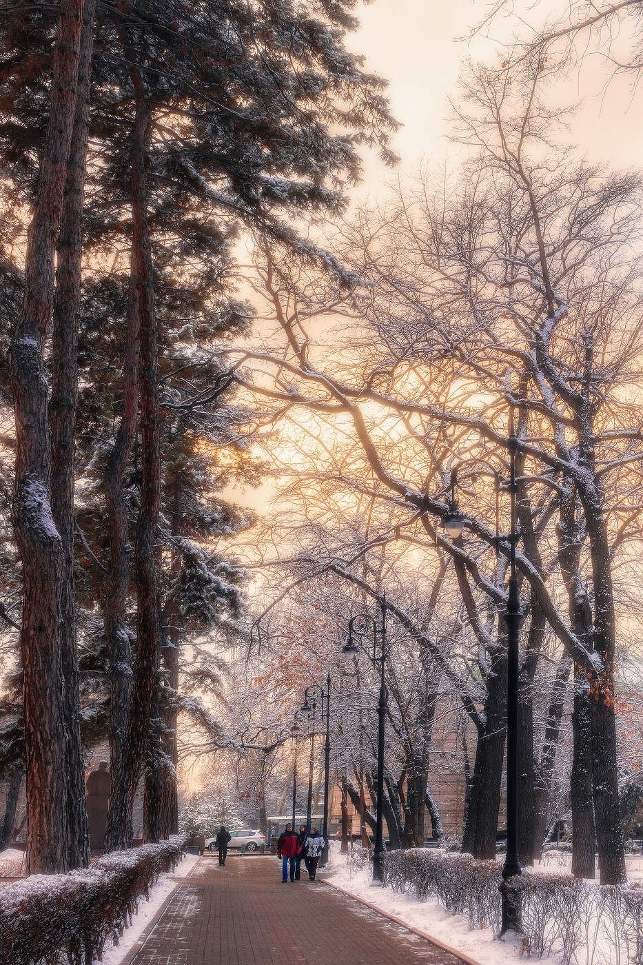 Прогулка по светлой аллее...