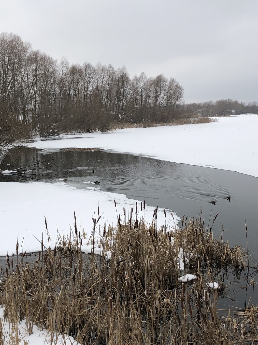 Первые дни весны