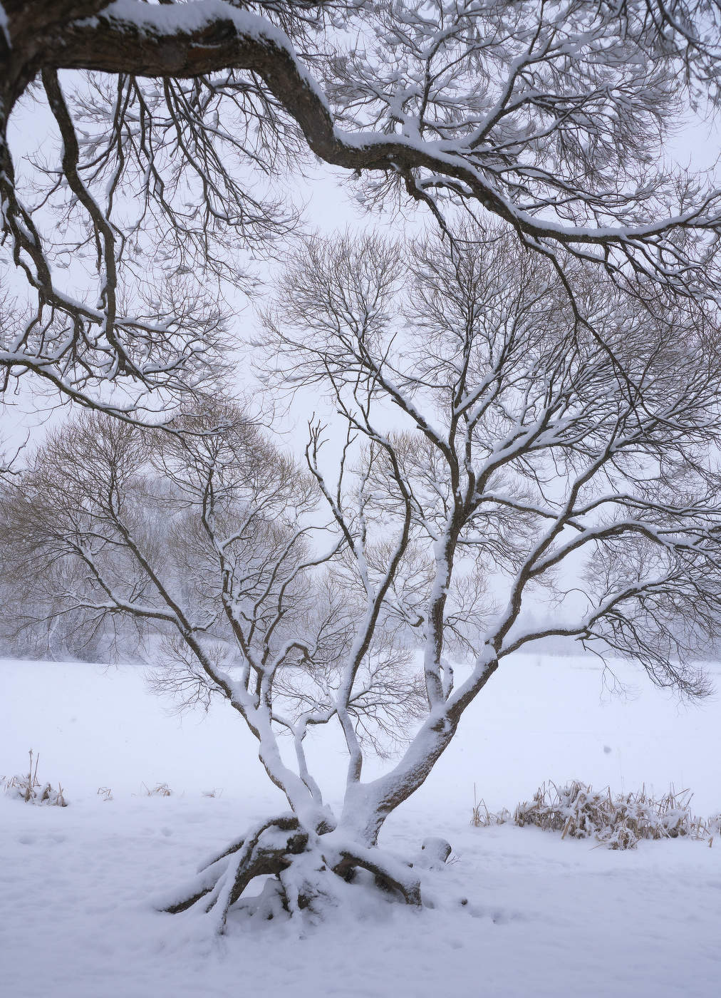 начало марта 2023